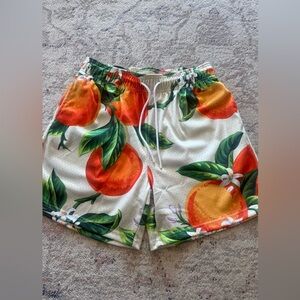 The Edition Citrus Orange Print Mesh Shorts Men’s Large Tropical Vacation Beach